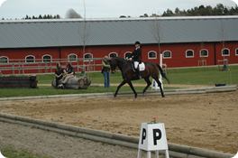 DSC_2074.JPG