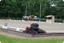 Nya-cameran-mantorp-dressyren-5-6-juni-14-205.JPG Nya-cameran-mantorp-dressyren-5-6-juni-14-205.JPG