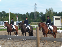 aug-2011-077.JPG