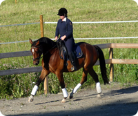 zid-1020107.JPG