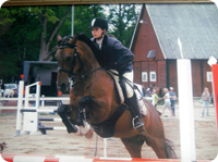Evelina och Silver Boy Silver-Boy-till-egna-haestar.JPG