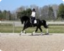 small_Photo_106625_1457869.JPG
