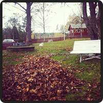 Photo: Trillioner l&ouml;v att kratta........b&auml;nken lockar.....