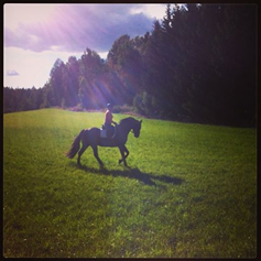 Photo: Bonsay har "Friluftsdag"