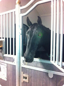 Photo: V&auml;lkommen till Ekdal Tim :-)
(Tokigt &ouml;gat blev.....)