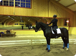 Photo: P&aring; v&auml;g hem efter toppen tr&auml;ning f&ouml;r Pia F&auml;lth i Helena Lindmarks fina ridhus! Inspirerande! Guldstj&auml;rna till Bonsay!