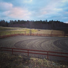 Photo: Vi utan ridhus p&aring; g&aring;rden jublar &aring;t det milda v&auml;dret!!