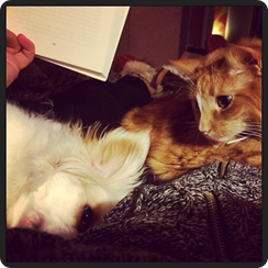 Photo: Ligger &aring; l&auml;ser.....men inte helt l&auml;tt med koncentrationen i det h&auml;r s&auml;llskapet....