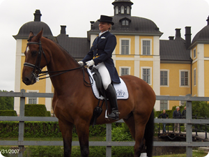 Stroemsholm-LagSM-2007.JPG