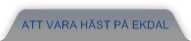 Att vara h&auml;st p&aring; Ekdal